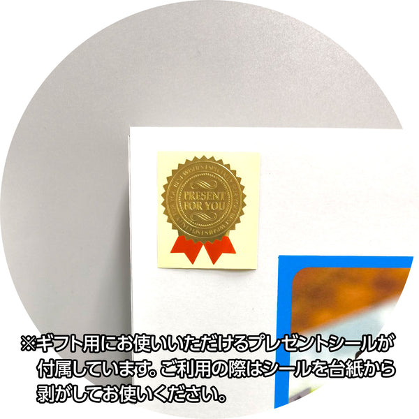 てづくり世界の国旗キット（プレゼントシール付属）