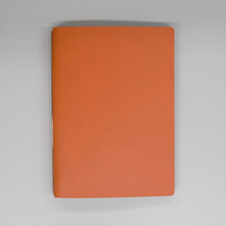 fixieダイアリーノートカバーA5キャメル＋フリー週間ダイアリー・横罫ノートセット