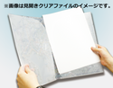 クリアファイル　世界のスポーツ